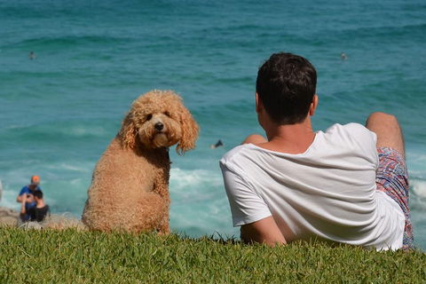 See Sydney With A Local: Private & Personalized - Attractions Melbourne 5