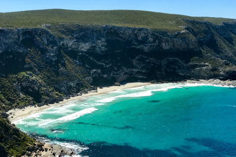 Kangaroo Island Scenic Trail Tour - Attractions Melbourne 4