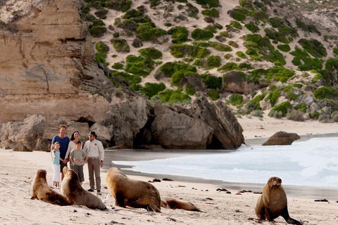 Kangaroo Island Scenic Trail Tour - Attractions Melbourne 5