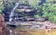 Central Coast Private Tour From Sydney, With Australian Reptile Park Option - thumb 0