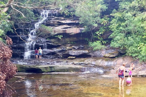 Central Coast Private Tour From Sydney, With Australian Reptile Park Option - Attractions Melbourne 0