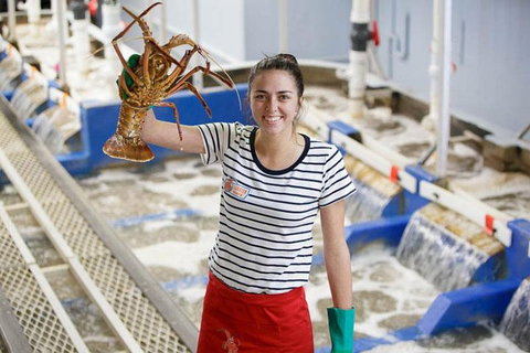 Pinnacles Desert, Koalas And Sandboarding 4WD Day Tour From Perth - Attractions Melbourne 0