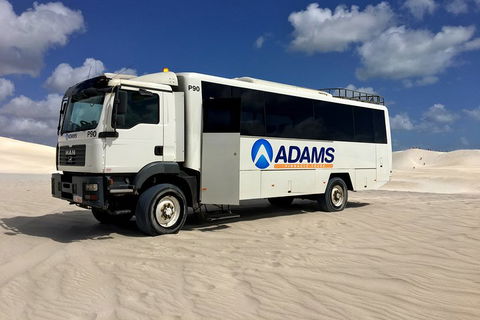 Pinnacles Desert, Koalas And Sandboarding 4WD Day Tour From Perth - Attractions Melbourne 2