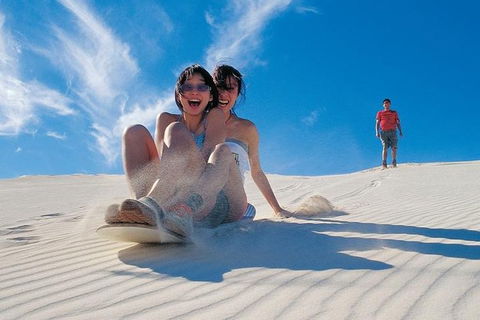 Pinnacles Desert, Koalas And Sandboarding 4WD Day Tour From Perth - Attractions Melbourne 3