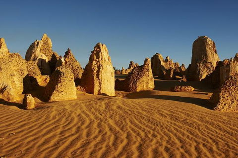 Full Day Pinnacle Desert Explorer From Perth Including Hillarys And Lancelin Sandboarding - Attractions Melbourne 3