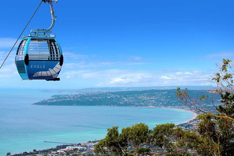 Peninsula Hot Springs Tour With Restaurant Lunch & Gondola Ride - Attractions Melbourne 1