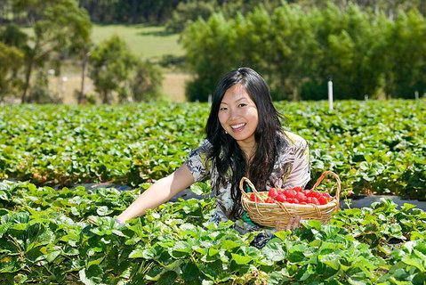 Peninsula Hot Springs Tour With Restaurant Lunch & Gondola Ride - Attractions Melbourne 5