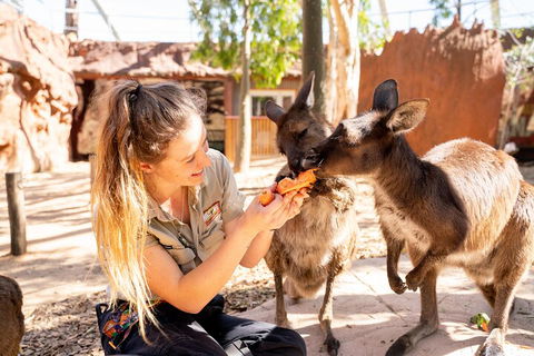 WILD LIFE Sydney Entrance Ticket - Attractions Melbourne 5