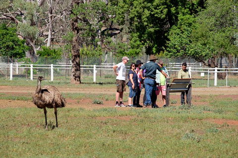 Yura Udnyu - Our Culture, Your Culture (Aboriginal Cultural Walk) - Attractions Melbourne 1