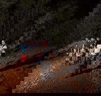 Alice Springs Desert Park Nocturnal Tour - Attractions Melbourne
