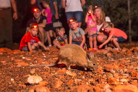Alice Springs Desert Park Nocturnal Tour - Attractions Melbourne 1