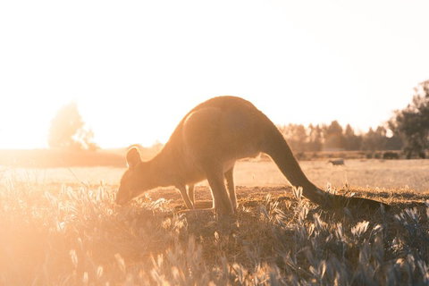 Small Group: Mornington Peninsula Hike And Hot Springs Day Tour From Melbourne - Attractions Melbourne 0