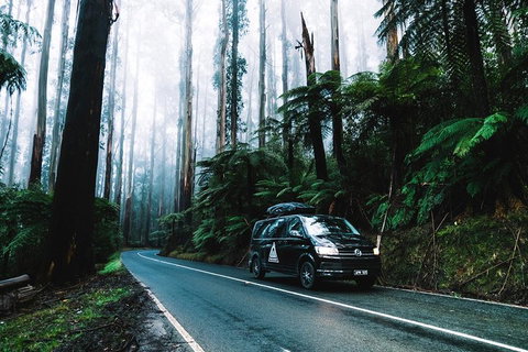 Small Group: Mornington Peninsula Hike And Hot Springs Day Tour From Melbourne - Attractions Melbourne 3