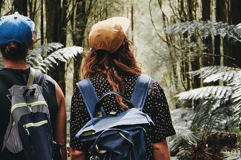 Small Group - Yarra Valley & Dandenong Ranges Hike From Melbourne - Attractions Melbourne 0