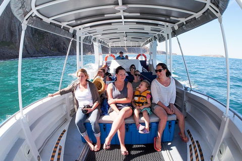 Seal Island Boat Tour From Victor Harbor - Attractions Melbourne 1