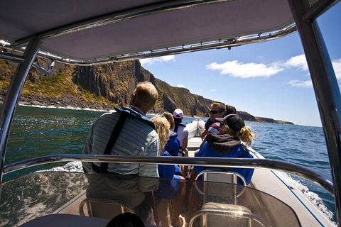Seal Island Boat Tour From Victor Harbor - Attractions Melbourne 2