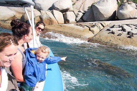 Seal Island Boat Tour From Victor Harbor - Attractions Melbourne 4