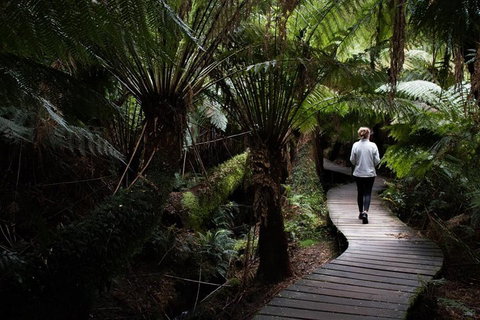 Private Tour Of Melbourne - Attractions Melbourne 2