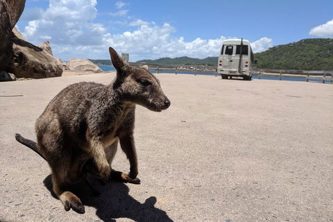 Magnetic Island Tour: Maggie Comprehensive - Attractions Melbourne 0