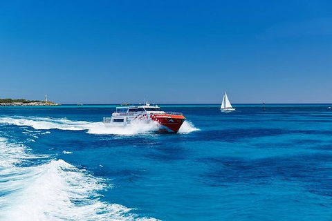 Rottnest Island Round-Trip Ferry From Perth Or Fremantle - Attractions Melbourne 4