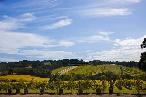Mornington Peninsula Day Trip From Melbourne - Attractions Melbourne 5