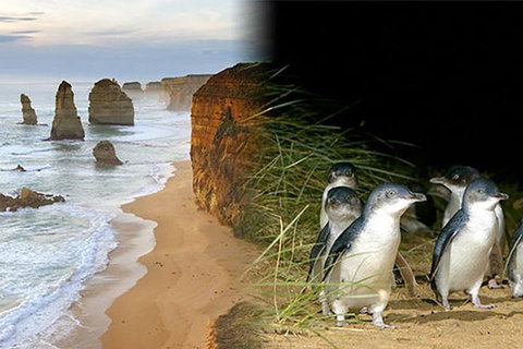 Melbourne Super Saver: Great Ocean Road + Phillip Island + Attraction Pass - Attractions Melbourne 0