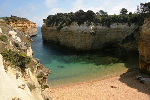 Melbourne Super Saver: Great Ocean Road + Mornington Peninsula + Attraction Pass - Attractions Melbourne 3