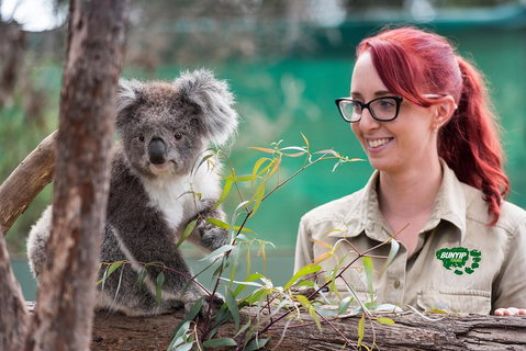 Small-Group Phillip Island Penguin Parade Day Tour From Melbourne - Attractions Melbourne 0