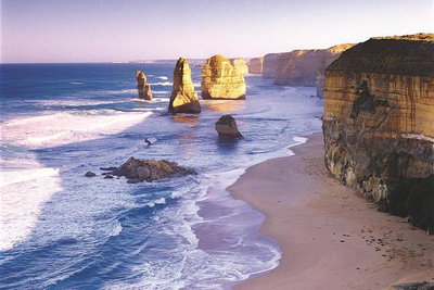 Melbourne Combo Great Ocean Road Puffing Billy Moonlit Sanctuary  Penguins