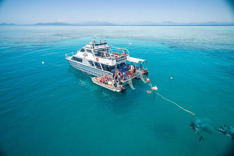 Ocean Freedom Great Barrier Reef Personal Luxury Snorkel & Dive Cruise, Cairns - Attractions Melbourne 0
