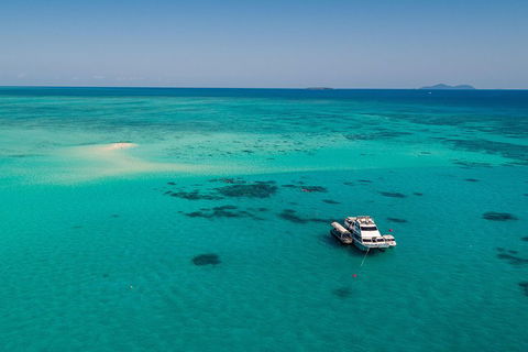 Ocean Freedom Great Barrier Reef Personal Luxury Snorkel & Dive Cruise, Cairns - Attractions Melbourne 2