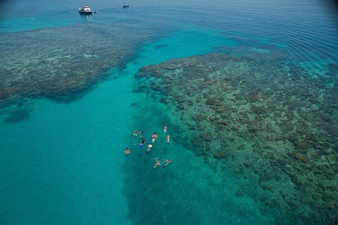 Ocean Freedom Great Barrier Reef Personal Luxury Snorkel & Dive Cruise, Cairns - Attractions Melbourne 3