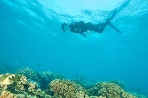 Ocean Freedom Great Barrier Reef Personal Luxury Snorkel & Dive Cruise, Cairns - Attractions Melbourne 5