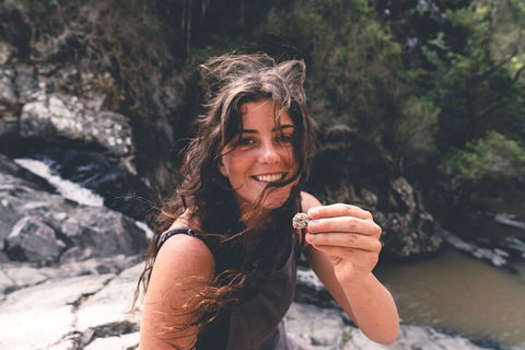 Springbrook AndTamborine Rainforest Tour Incl Natural Bridge And Glow Worm Cave - Attractions Melbourne 1