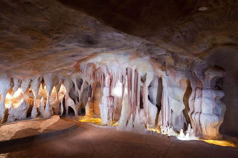 Springbrook AndTamborine Rainforest Tour Incl Natural Bridge And Glow Worm Cave - Attractions Melbourne 4