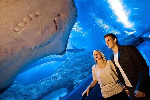 Glass Bottom Boat & Entry At AQWA - Attractions Melbourne 4