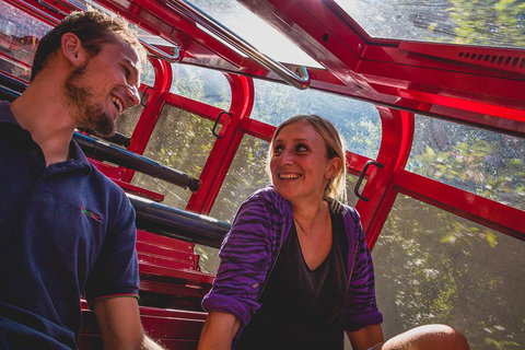 Blue Mountains Hop-on Hop-off Tour With Optional Scenic World Rides - Attractions Melbourne 5