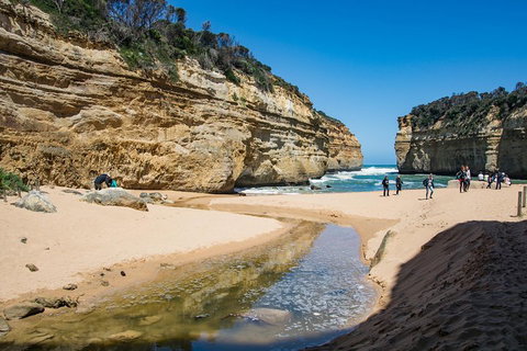 Great Ocean Road Reverse Itinerary With 12 Apostles From Melbourne - Attractions Melbourne 2