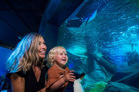 SEA LIFE Sunshine Coast Aquarium Entrance Ticket - Attractions Melbourne 0
