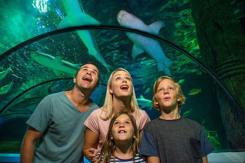 SEA LIFE Sunshine Coast Aquarium Entrance Ticket - Attractions Melbourne 3