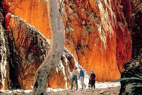 West MacDonnell Ranges Day Trip From Alice Springs - Attractions Melbourne 3