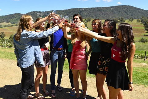 Hunter Valley Wine Tour From Sydney Incl Lunch, Cheese, Chocolate And Distillery - Attractions Melbourne 3