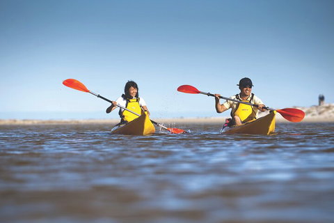 Kangaroo Island Self-Guided Kayaking On The Harriet River - Attractions Melbourne 2
