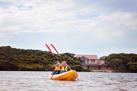 Kangaroo Island Self-Guided Kayaking On The Harriet River - Attractions Melbourne 5