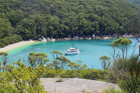Wilsons Promontory Full Day Cruise - Attractions Melbourne 2