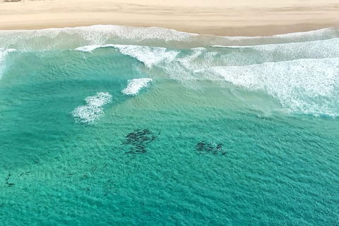 Coastal Helicopter Shared Flight - 20 Minutes - Attractions Melbourne 4