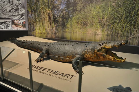Explore Darwin City Sights Including Key Attractions - Attractions Melbourne 2