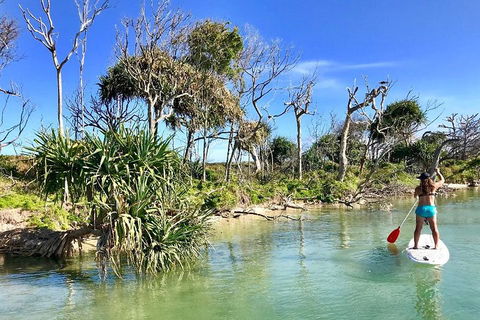 Golden Beach 1-Hour Stand-Up Paddleboard Hire On The Sunshine Coast - Attractions Melbourne 5