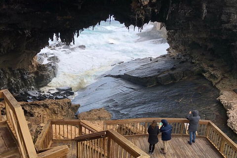 Kangaroo Island 4WD Tour - Best Of KI - Attractions Melbourne 1