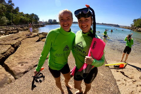 Manly Snorkel Trip And Nature Walk With Local Guide - Attractions Melbourne 1
